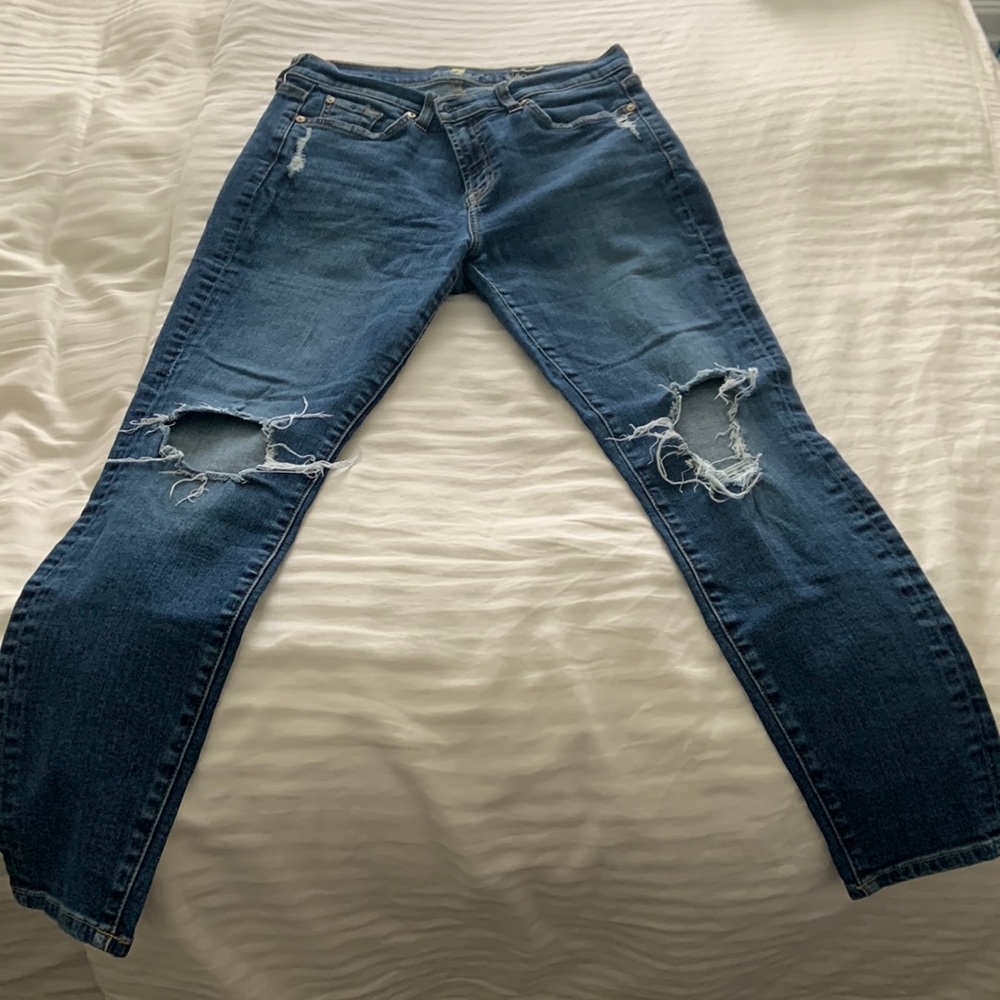 7 For All Mankind The Ankle Skinny Jeans